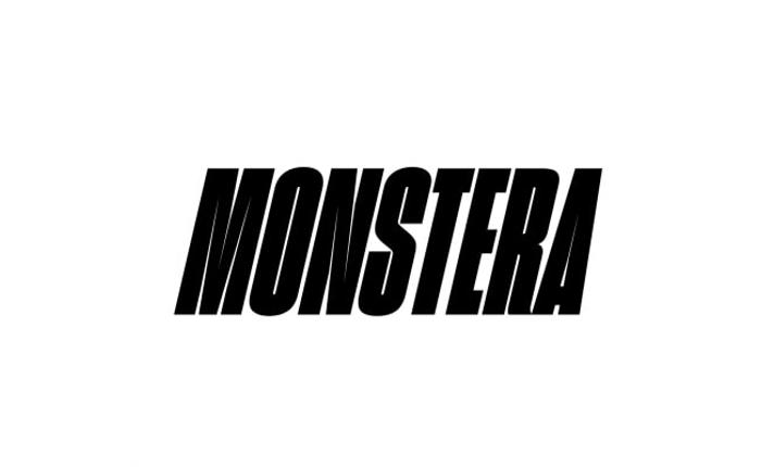 Monstera - zdjęcie
