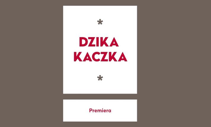Dzika Kaczka - zdjęcie