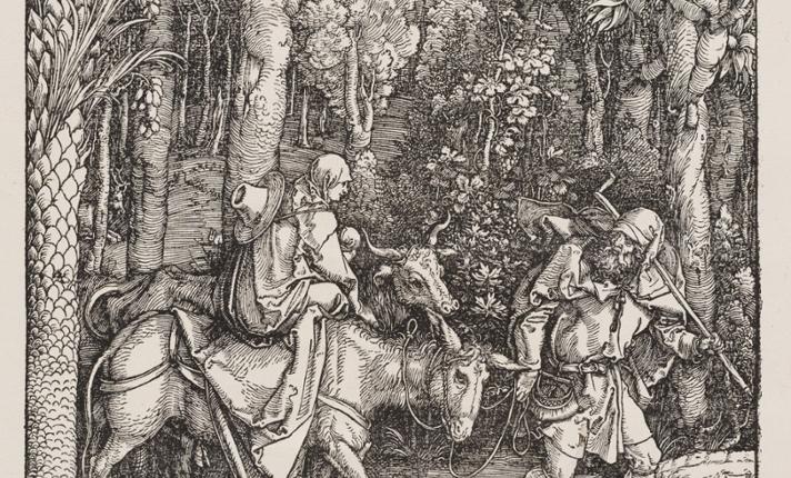 Dürer. Żywot Maryi, Wielka Pasja, Apokalipsa - zdjęcie